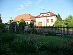 Třibřichy